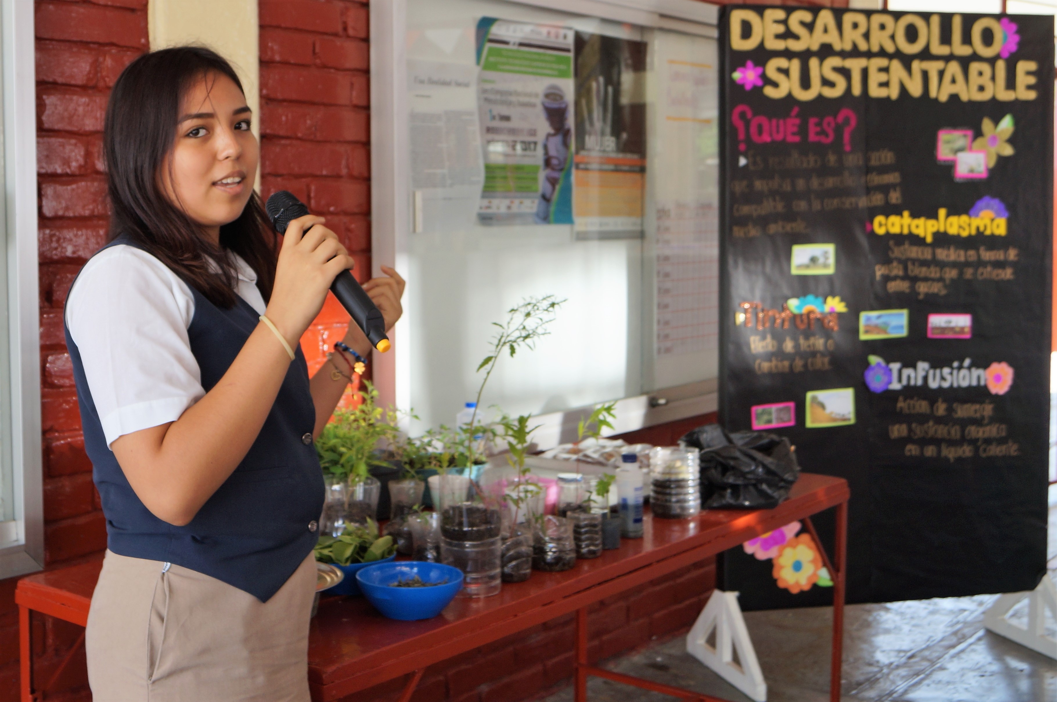 EXPOSICIÓN DESARROLLO SUSTENTABLE
21 DE JUNIO 2017