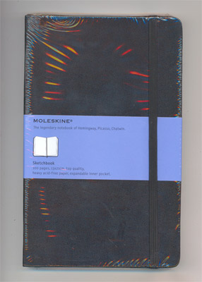 Moleskine sketchbook (large)
