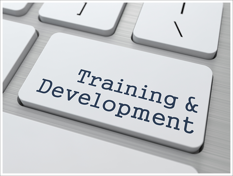 Training and development||||