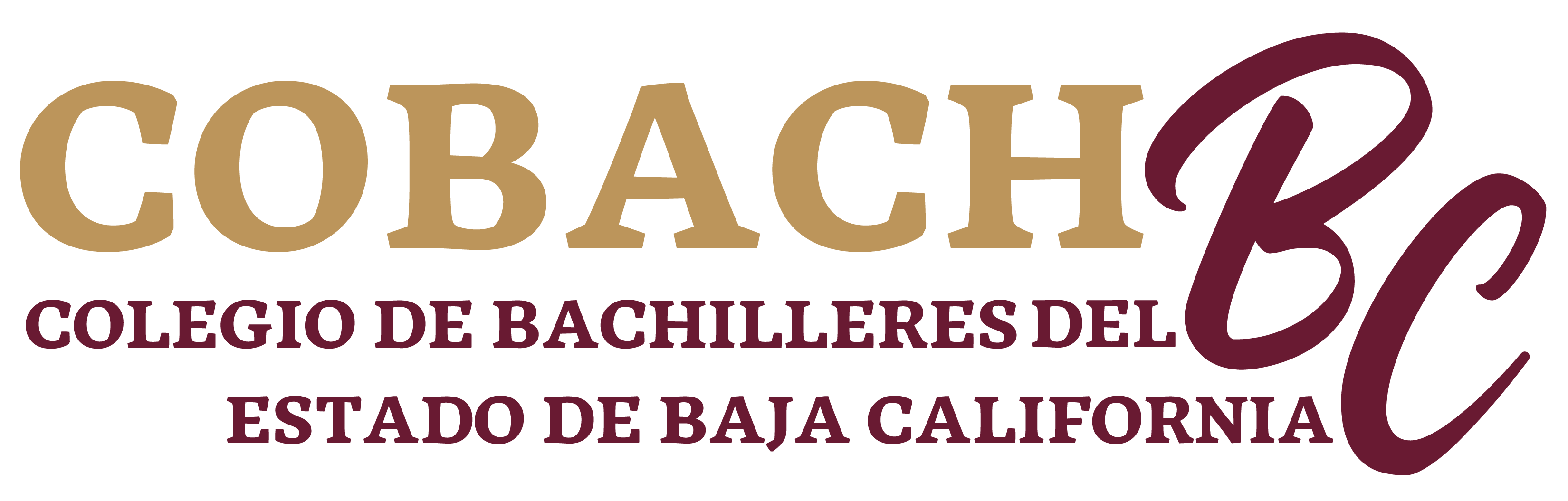 https://0201.nccdn.net/1_2/000/000/12f/a36/logo_cobachbchd.png