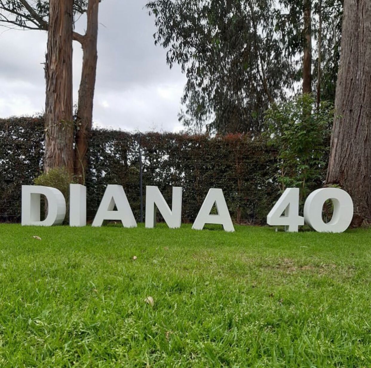 Cada letra en Alquiler
Medidas 80cm de Altura
$35.000