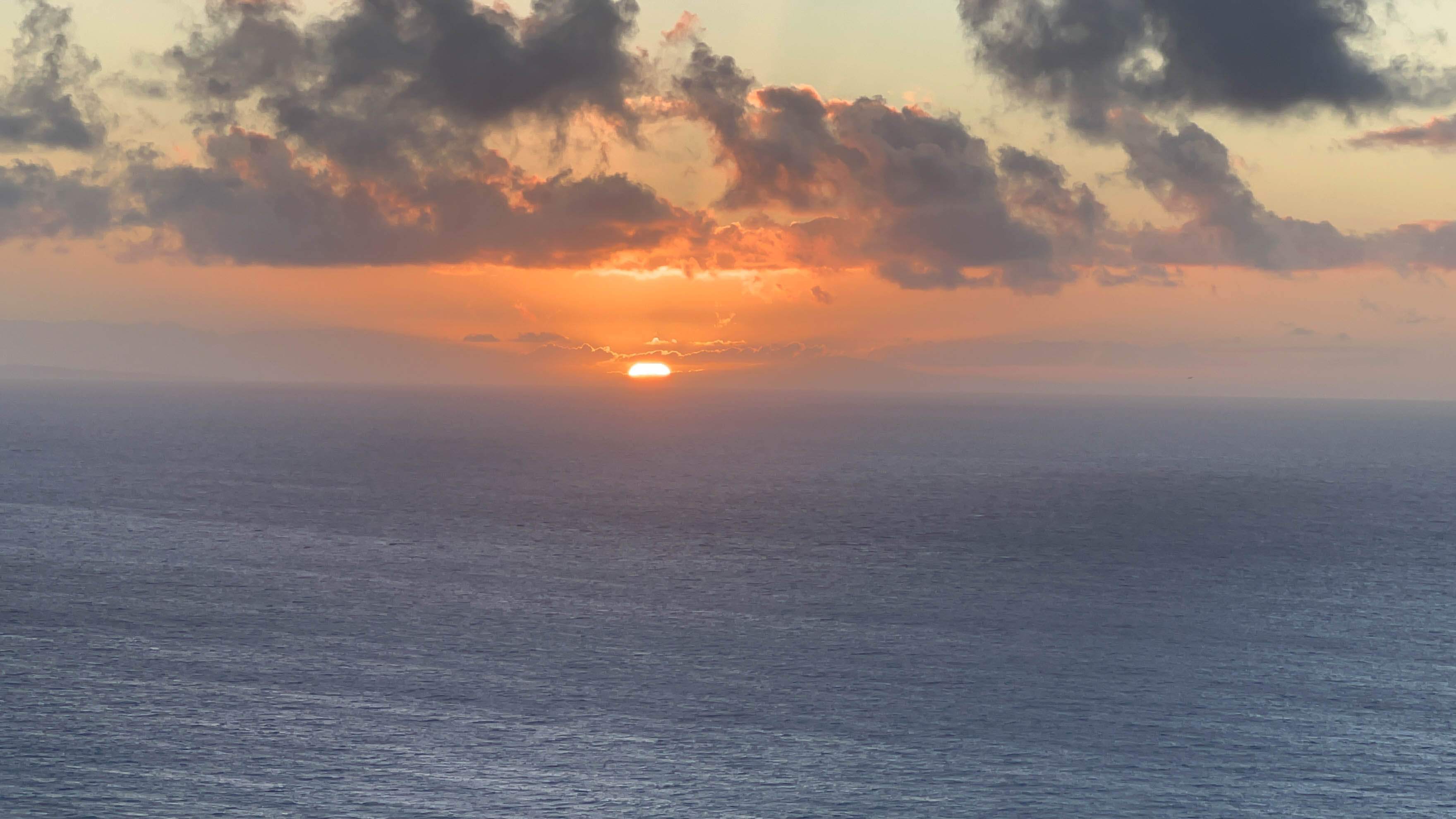 https://0201.nccdn.net/1_2/000/000/12f/ba8/hawaii-order-84.jpg