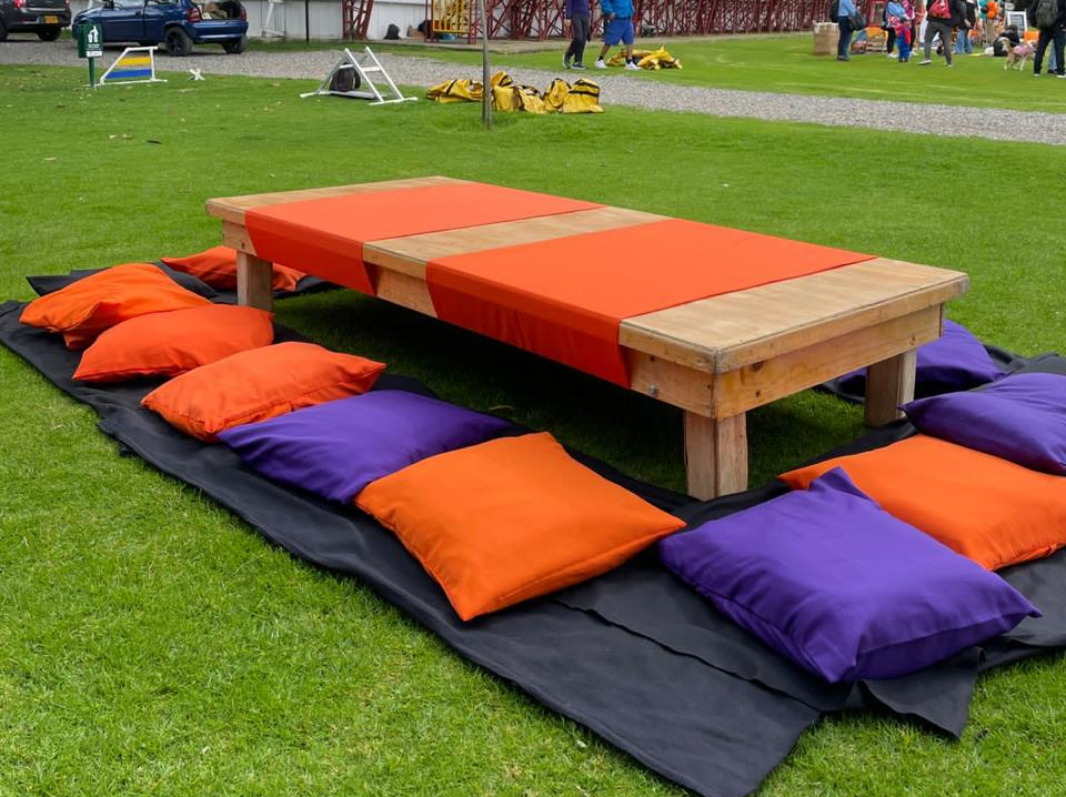 Cojines en tela
44cm x 44cm
Alquiler $ 5.000