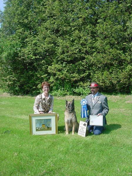 HIT BELGIAN SPECIALTY