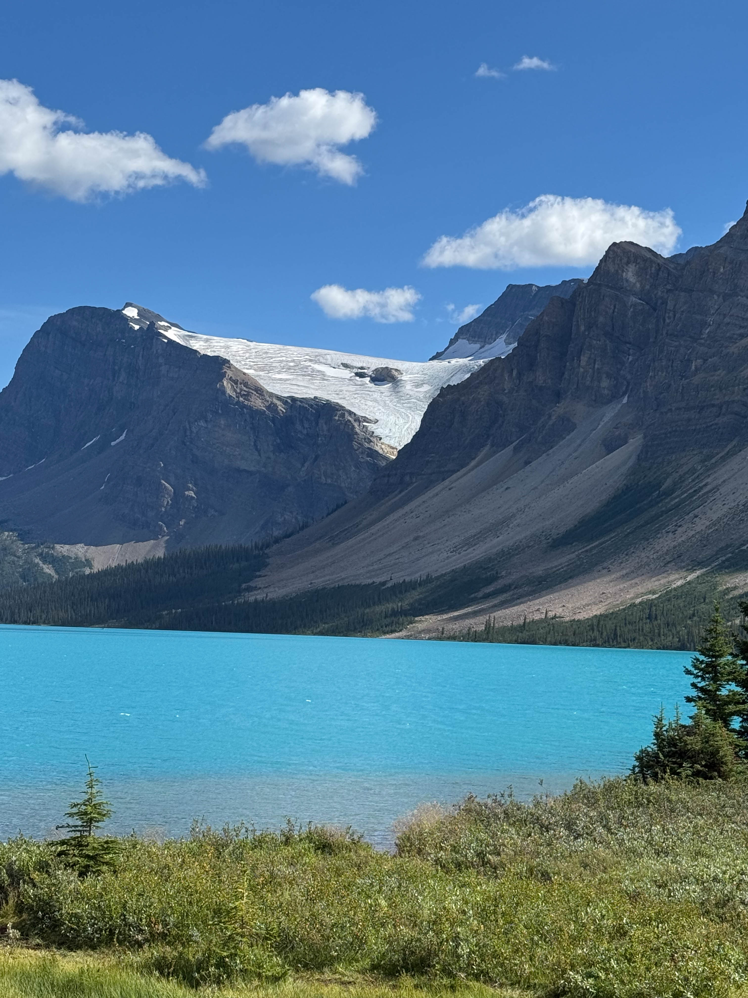 https://0201.nccdn.net/1_2/000/000/130/17e/calgary-order-216.jpg