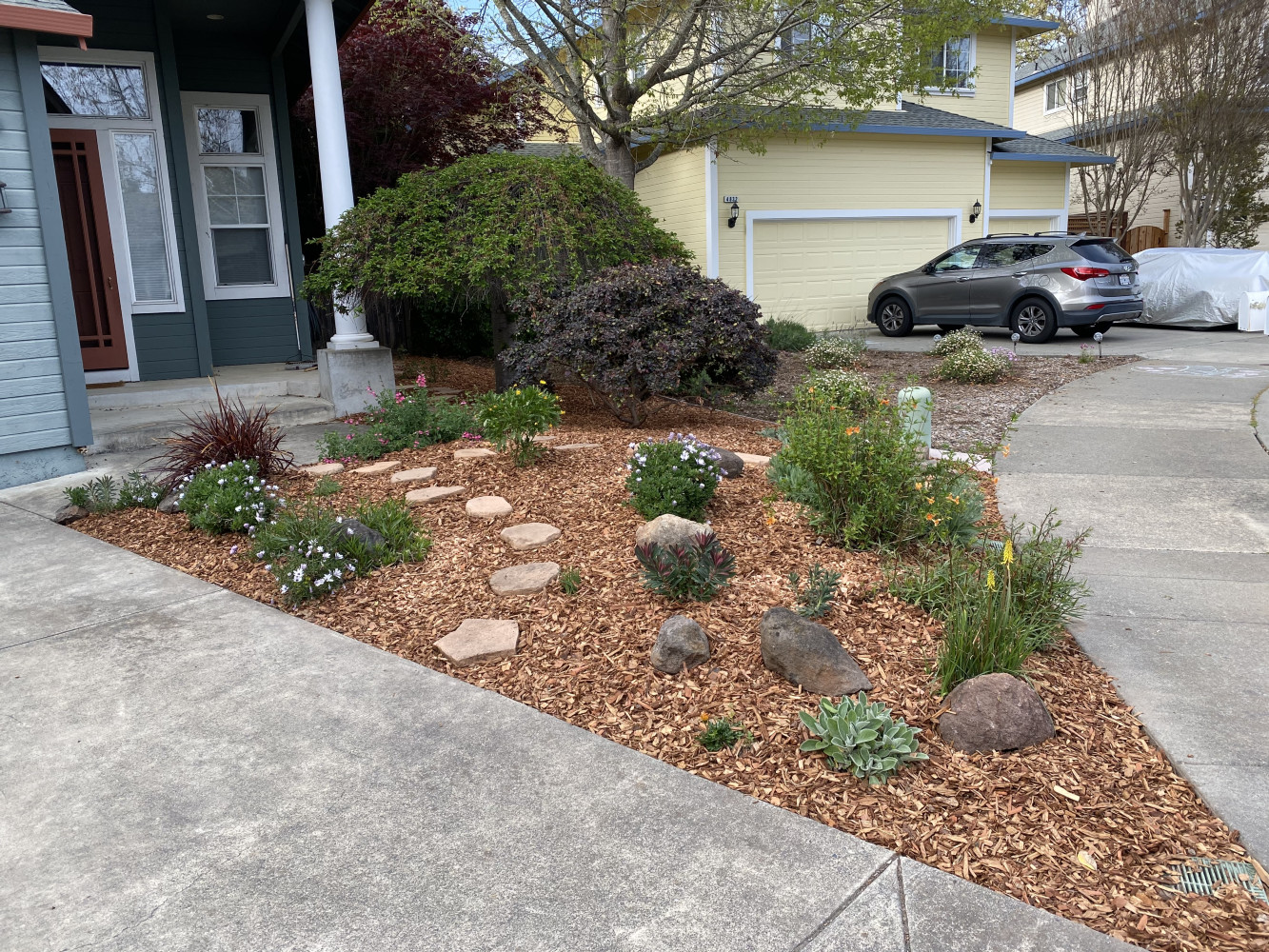 AFTER - cleaned up, weed clothed and mulched