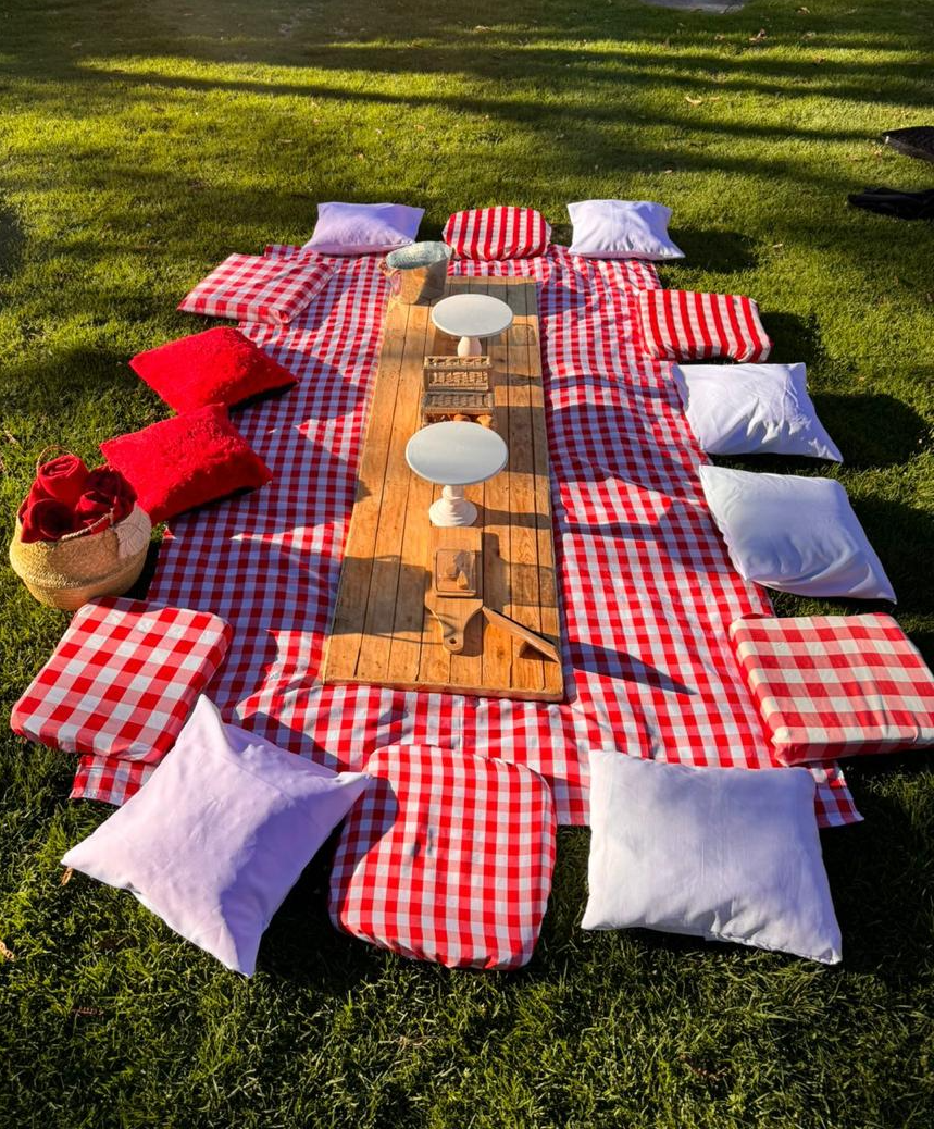 Cojin a Cuadros
Medidas 50x50cm
$5.000 Alquiler