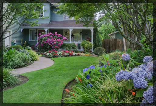Beautiful Green Lawn