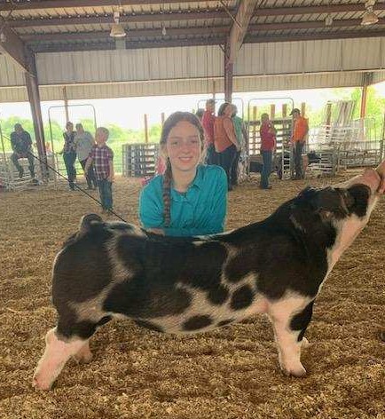 Jacey Bowers
TSSC Summer Kickoff
Champion Spot Gilt
5th Overall Gilt (Open Show)
Champion TN Bred Purebred Gilt
