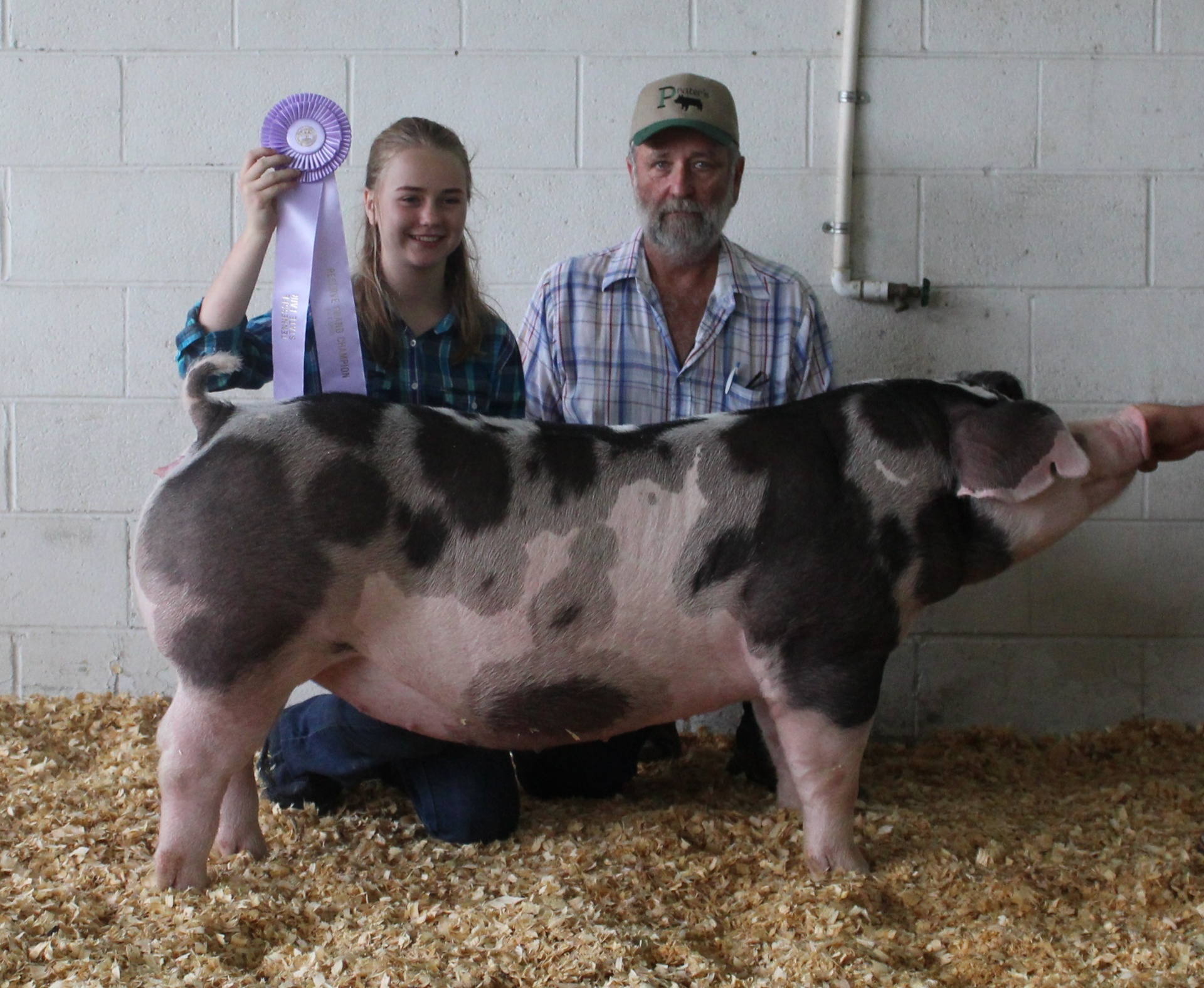 Hannah Sanders
2018 Tennessee State Fair
Reserve Champion Spot Gilt