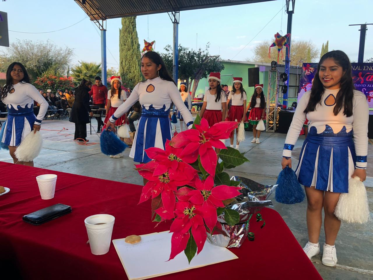ENCENDIDO DEL ÁRBOL NAVIDEÑO