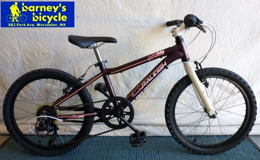 Raleigh Lily 20
Wheel Size: 20"/Frame Size: G20
Speeds: 7
Price: $189.99 (Pro Tuned)