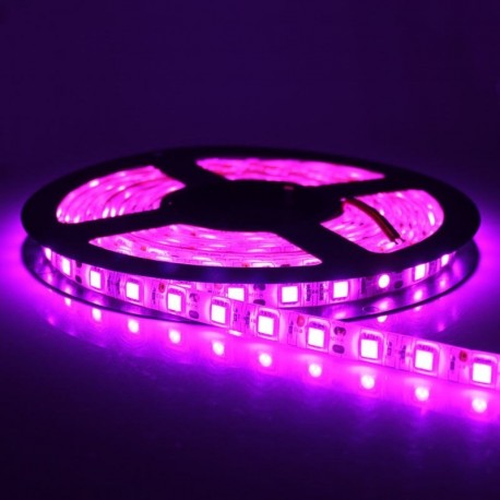 TIRA DE LED 5050
ROSA 5M