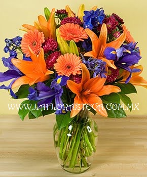 Mom - 118
Precio $1,490