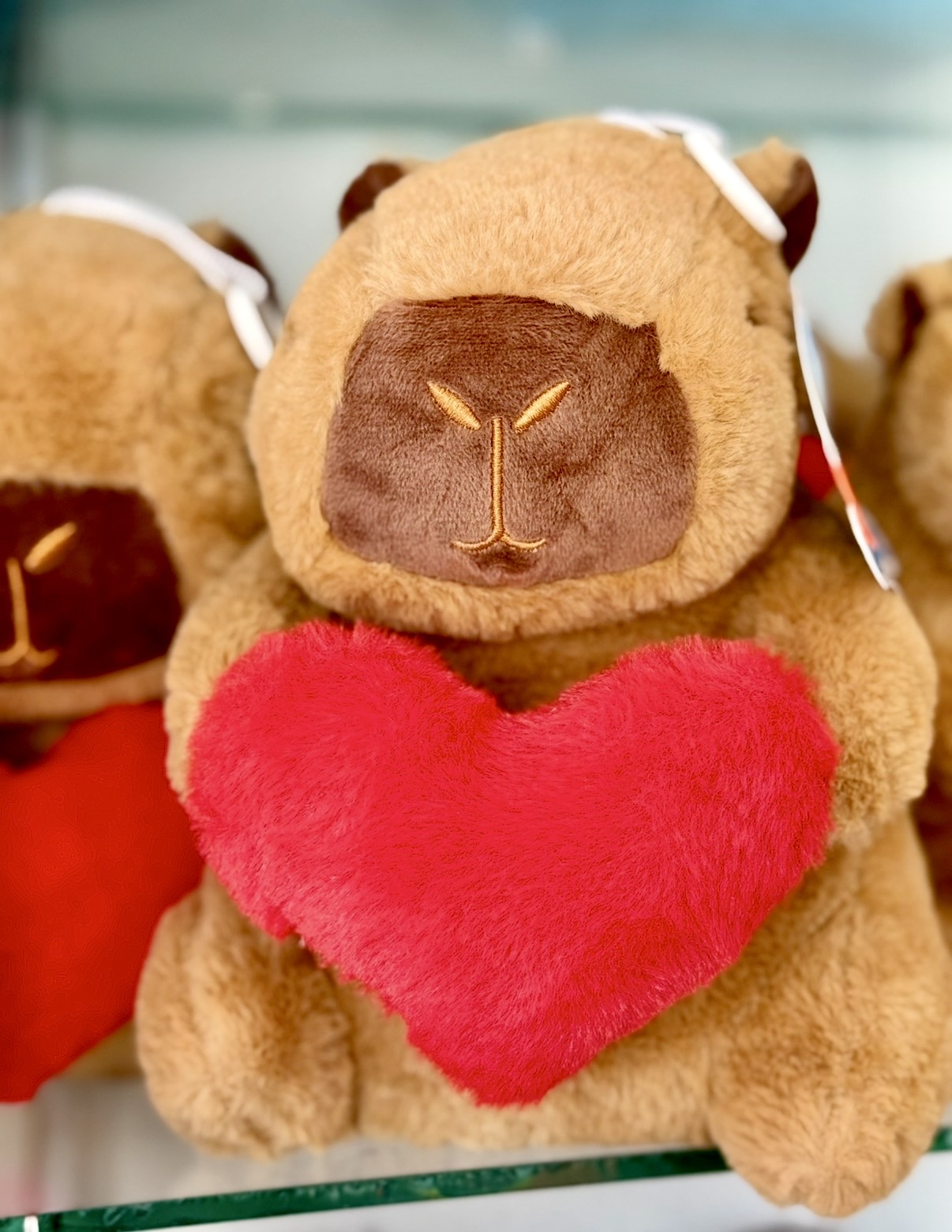 https://0201.nccdn.net/1_2/000/000/131/db4/img_6141.jpg