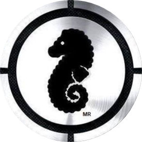 BLACK SEAHORSE
