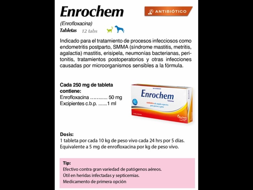 PET011 ENROCHEM 12 TABLETAS