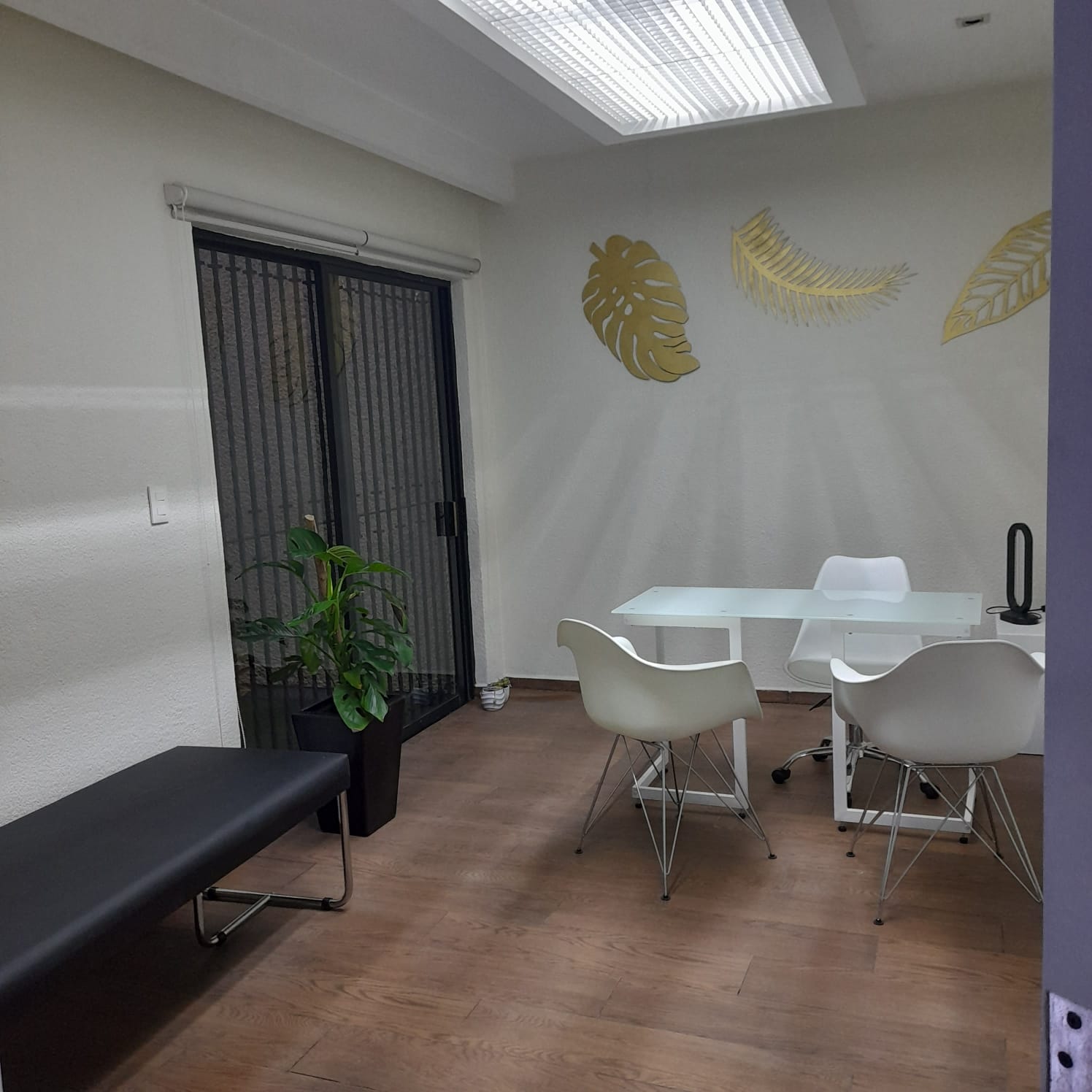 Eco and Nature Eco and Nature