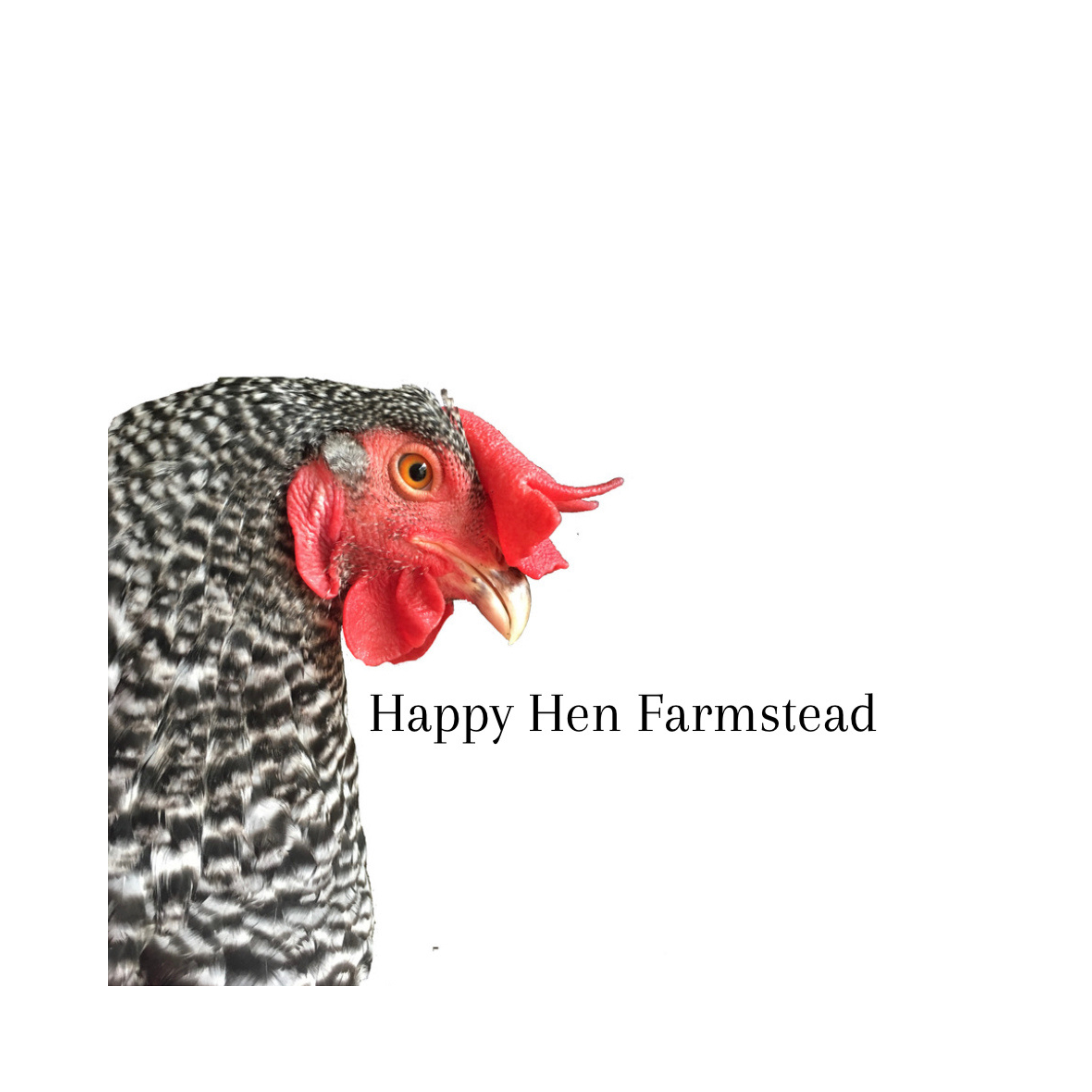https://0201.nccdn.net/1_2/000/000/132/804/happy-hen-business-card-2.png