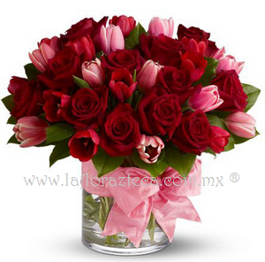 San Valentin 061
$ 3,660.00 pesos