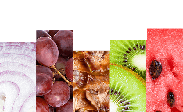 Casa Rentería - Gran variedad de frutas y verduras