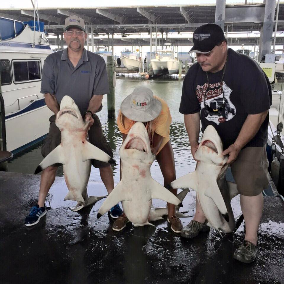 https://0201.nccdn.net/1_2/000/000/133/2fe/3-sharks-galveston-tx-fishing-charters.jpg