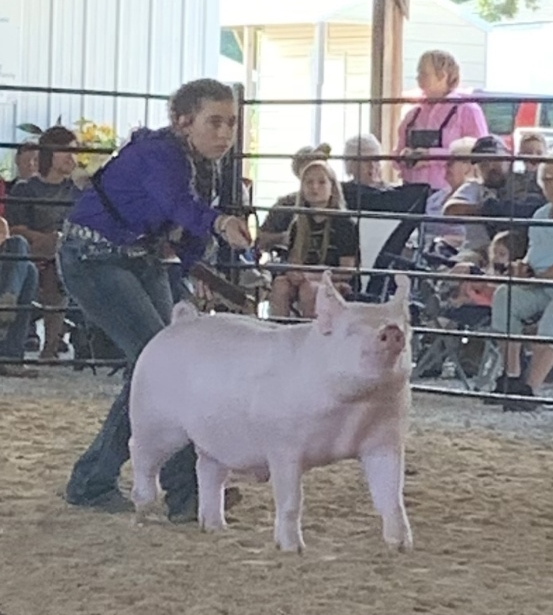 Lena Stricklen
2019 Phelps County Fair, Missouri
Grand Champion Overall Market Hog