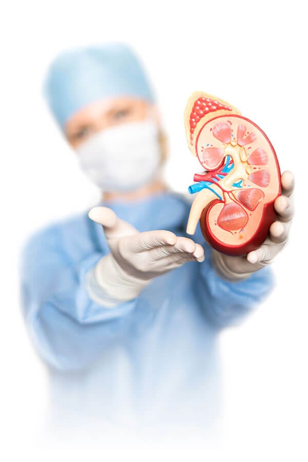 CLINICA DE ENFERMEDADES DEL RIÑON  - Hemodiálisis