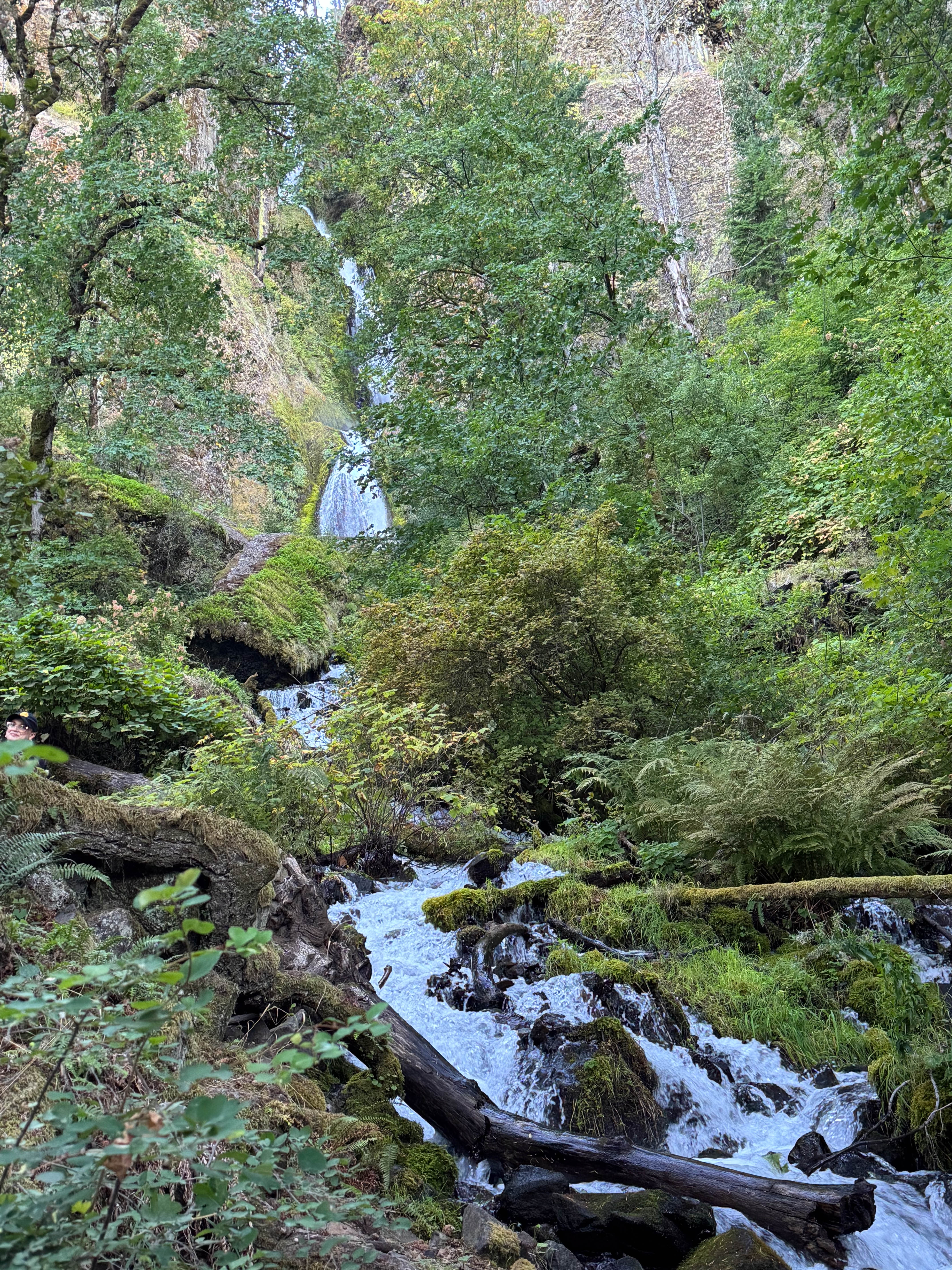 https://0201.nccdn.net/1_2/000/000/133/be0/portland-order-15.jpg