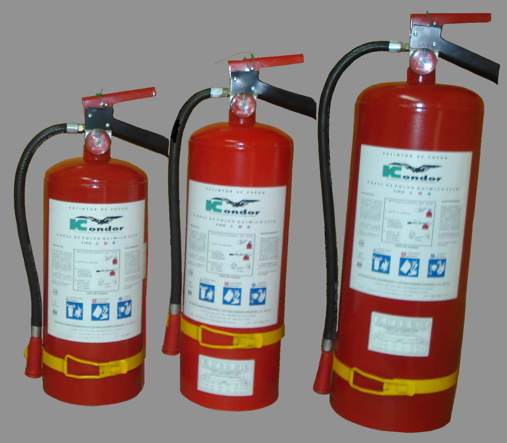 https://0201.nccdn.net/1_2/000/000/133/d86/0-extintores-10-20-alum-gris.png