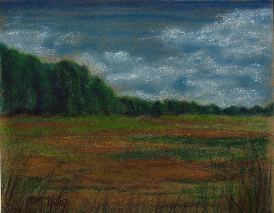 Trees in distance ©ibm 7-2-07