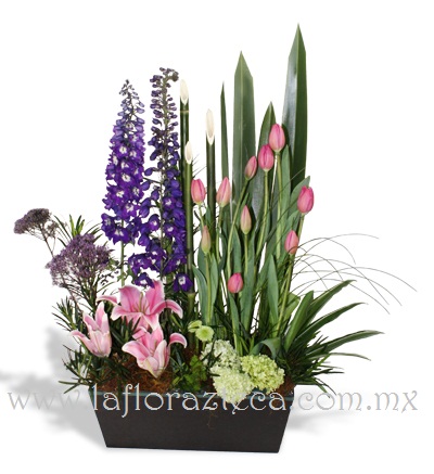 MD - 115  $1,990
Elegante composición de tulipanes,perritos,hortensias y acapulco