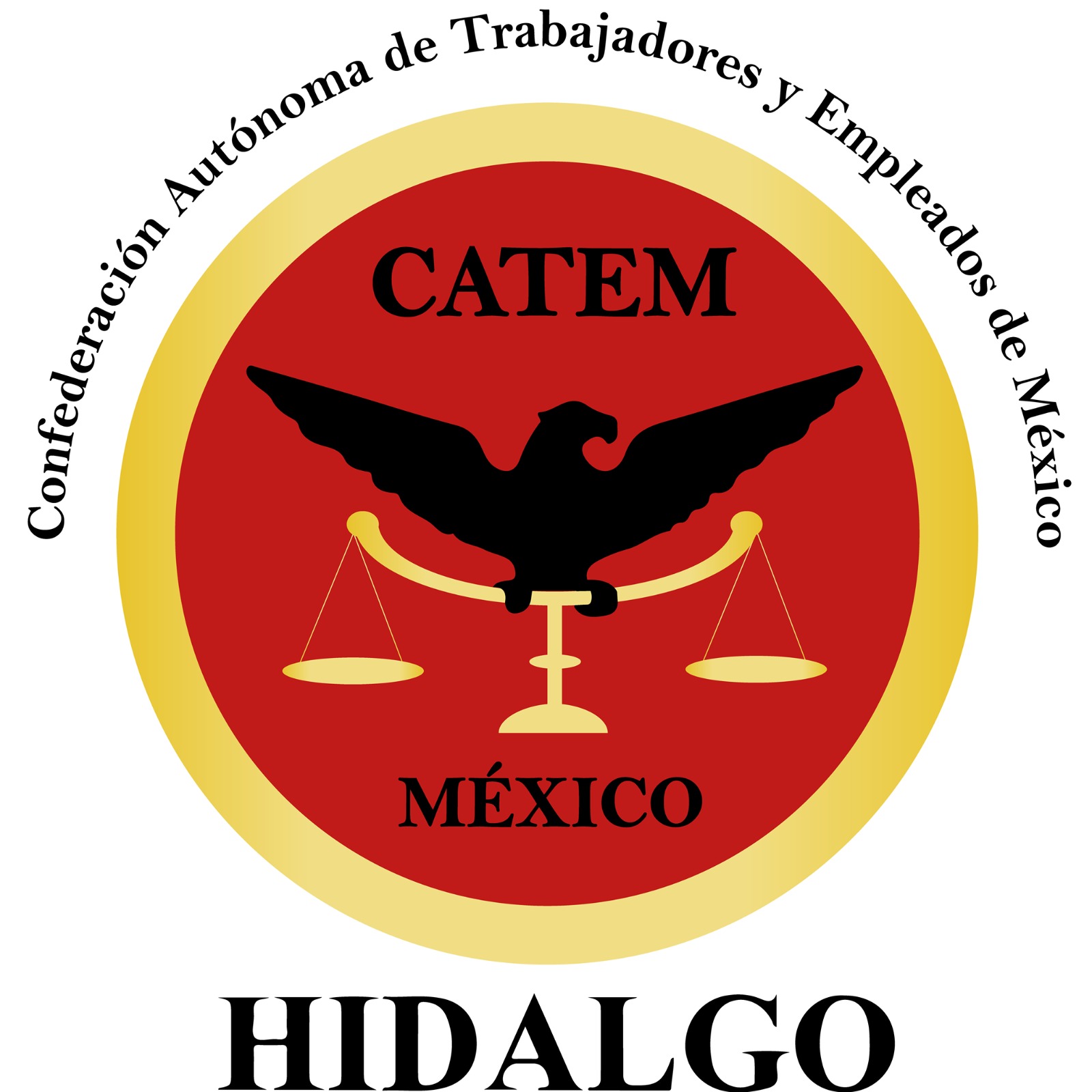 https://0201.nccdn.net/1_2/000/000/134/842/catem-logo.jpeg