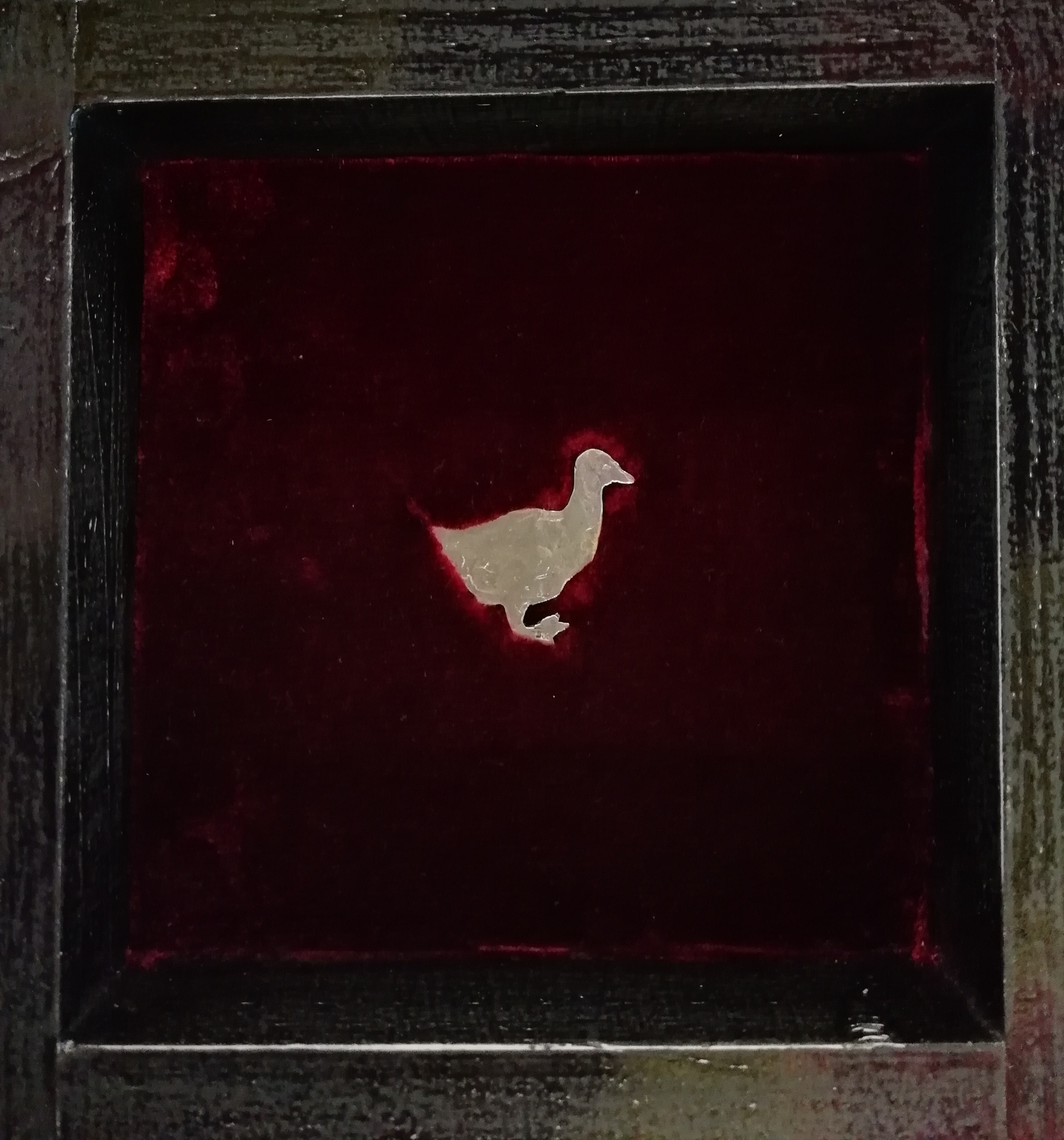 Pato