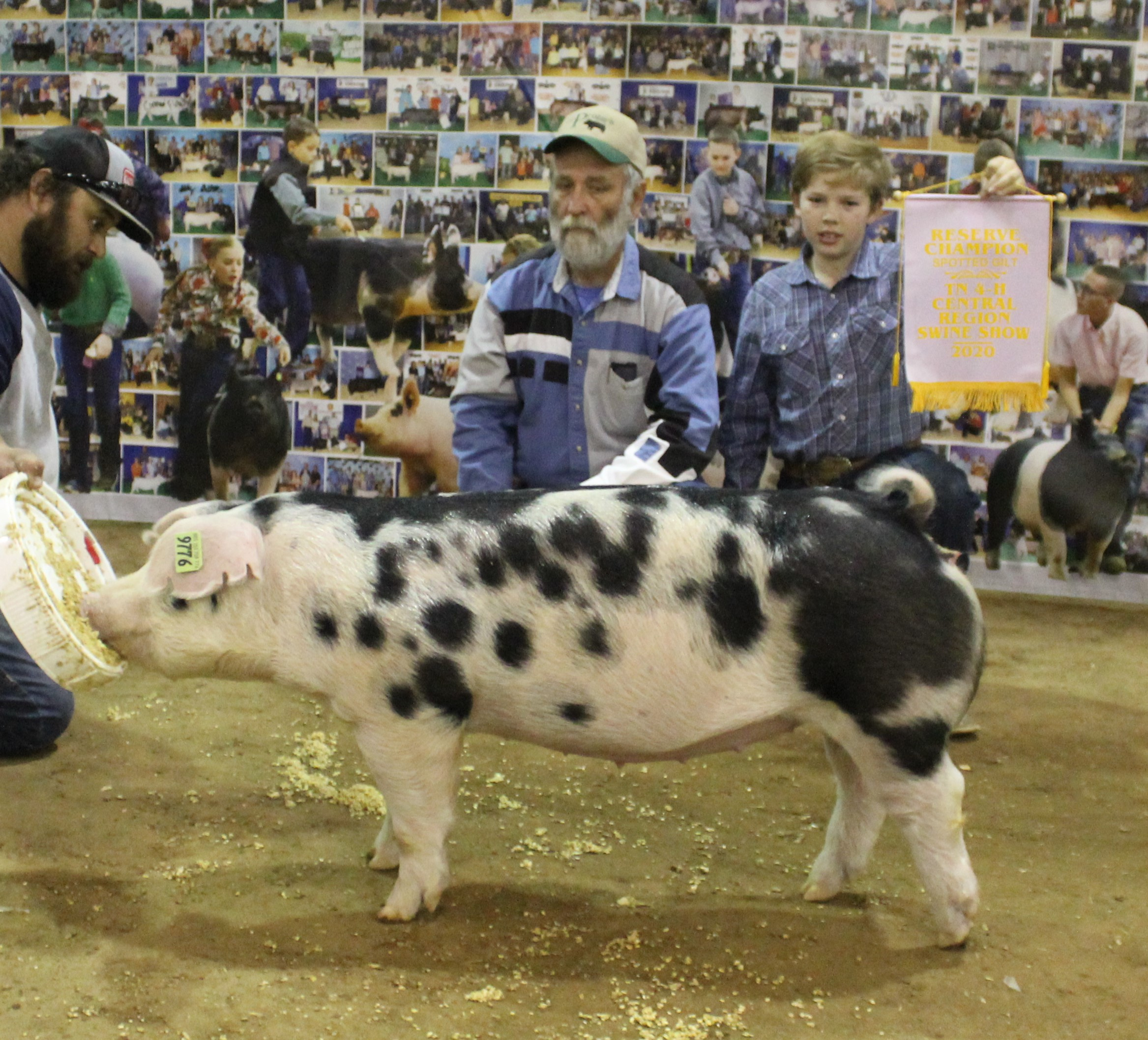 Casper Cossitt
2020 Tennessee Central Region Show
Reserve Champion Spot Gilt
