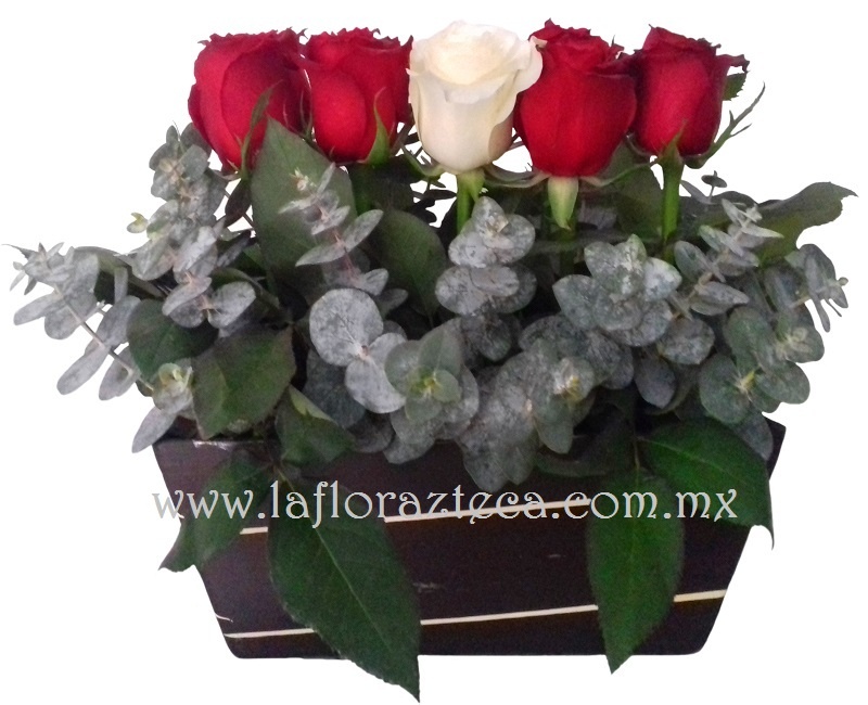San Valentin 053
$ 630.00 pesos