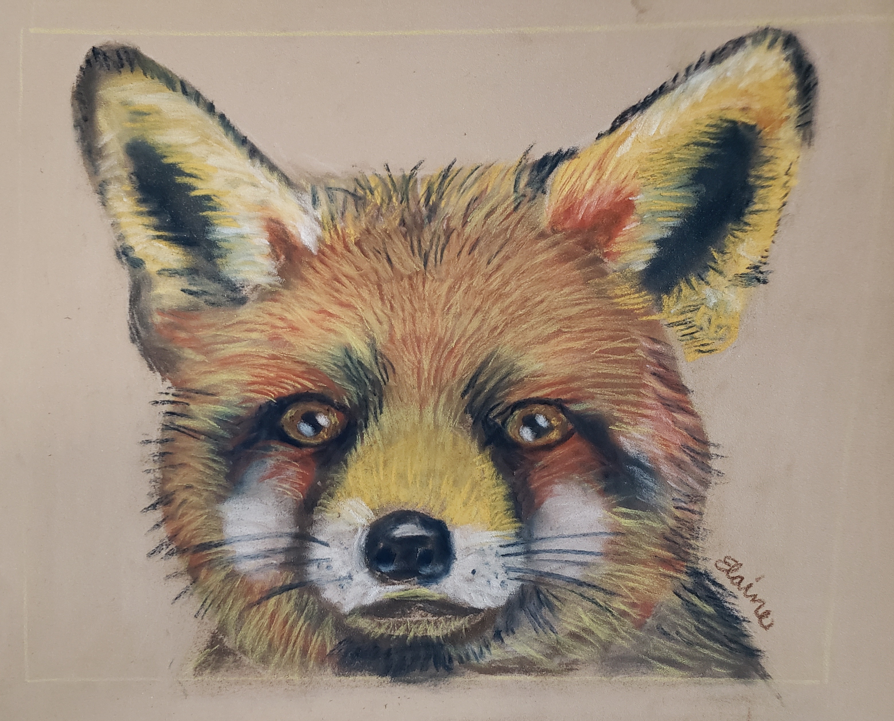 https://0201.nccdn.net/1_2/000/000/134/d54/foxy_pastel-on-paper_framed.jpg