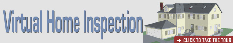 Virtual Home Inspection