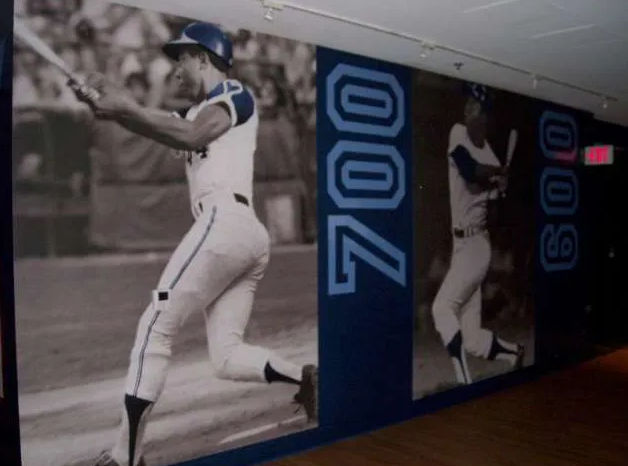 ATLANTA BRAVES
Digital Wallcoverings Murals