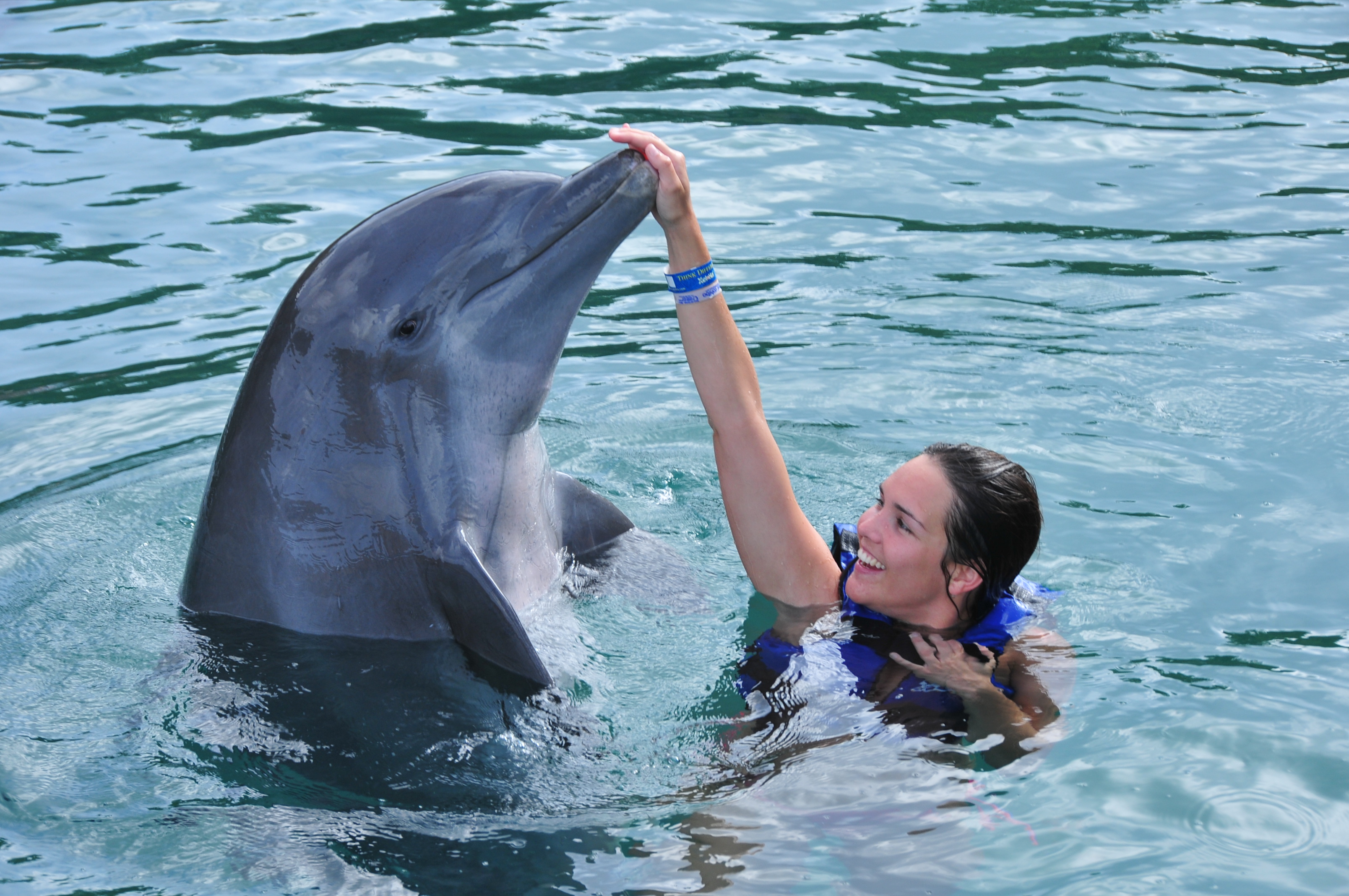 CON ESTOS AMIGABLES DELFINES TODO ES FELICIDAD