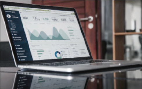 Charts with statistics on a laptop screen