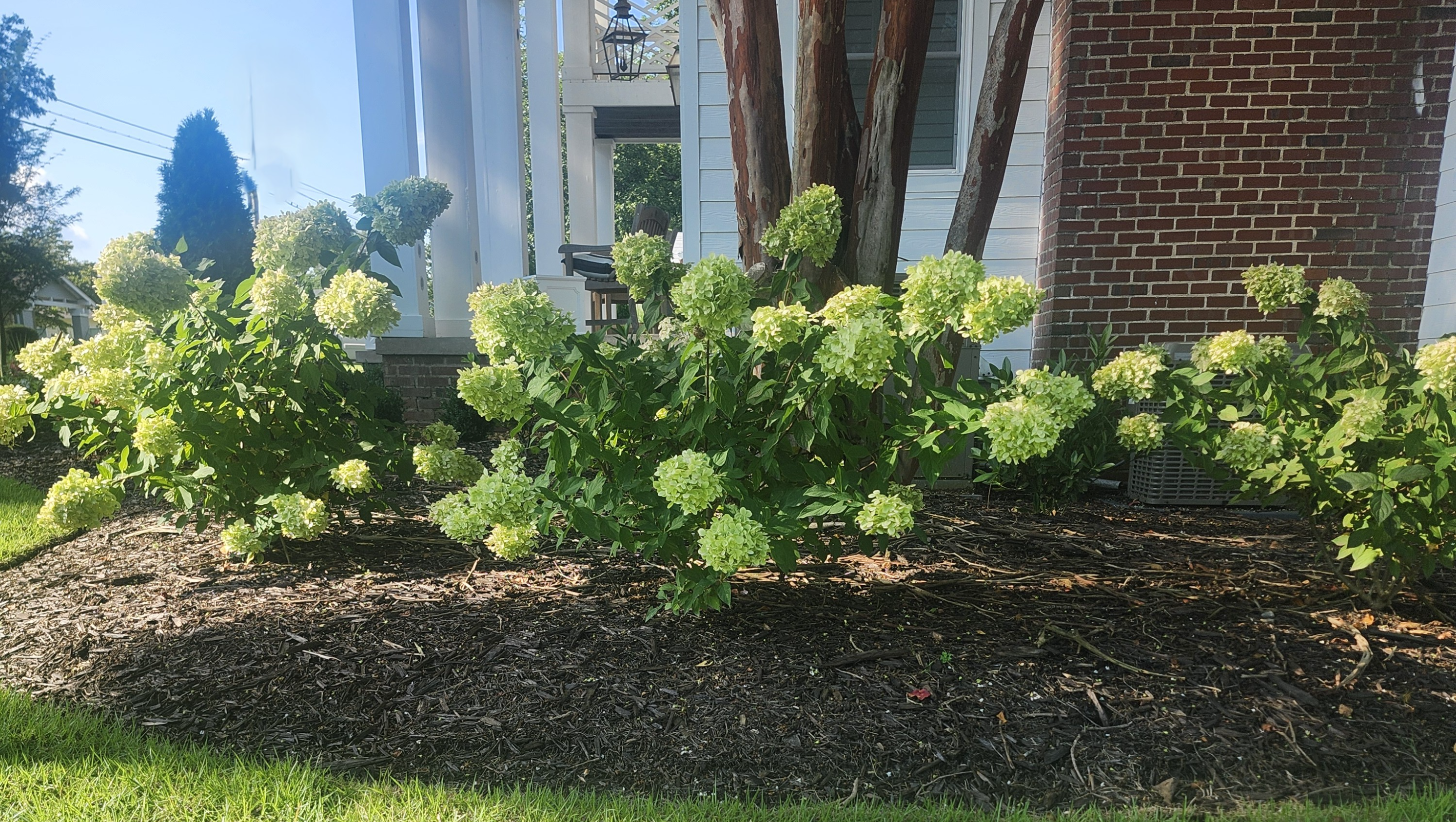 Beautiful garden with colorful flowers, a winding stone pathway, and a charming gray house with white trim in the background.