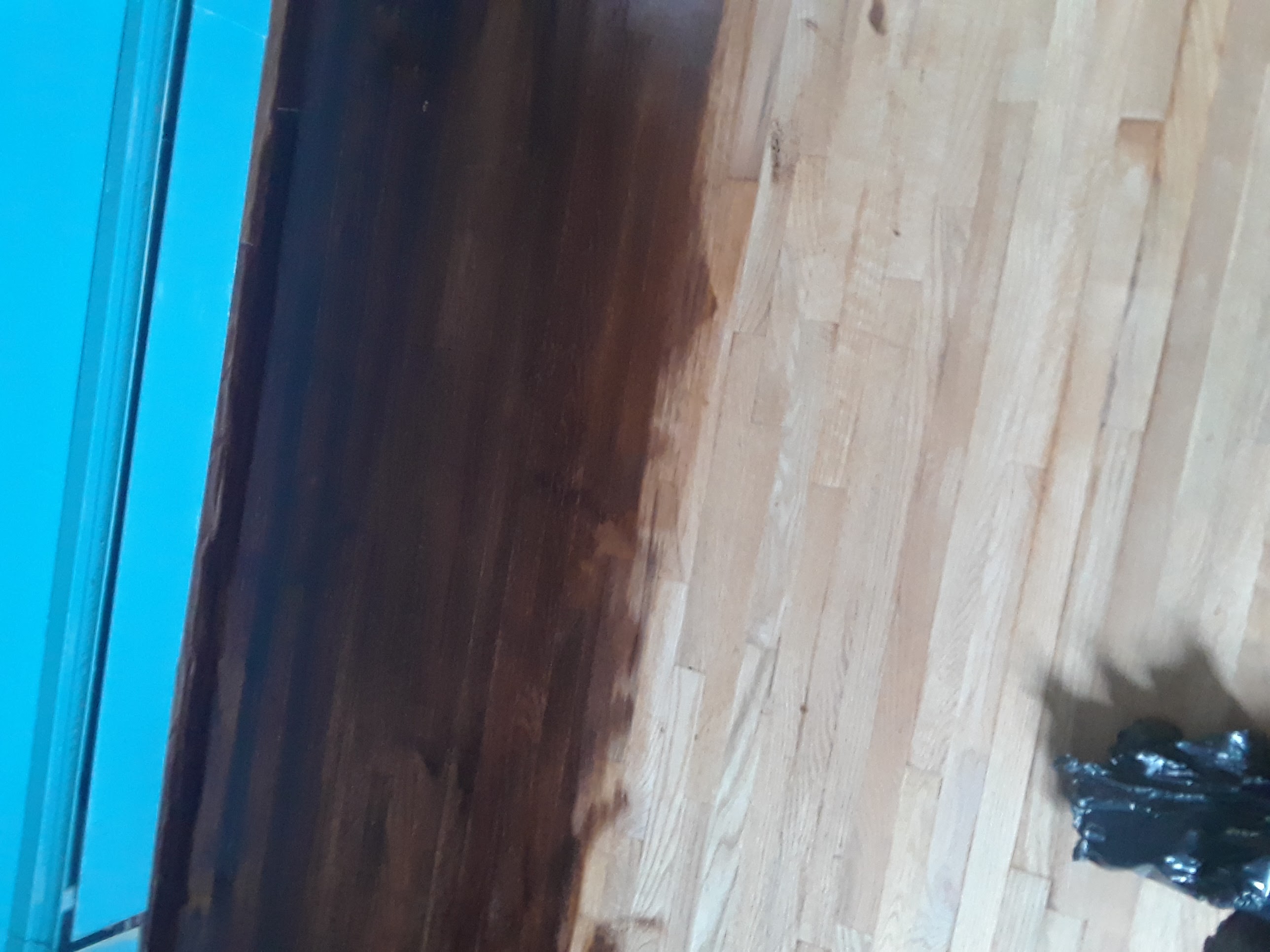 Wood Varnish