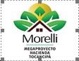 https://0201.nccdn.net/1_2/000/000/136/2e4/hacienda-morelli.jpg