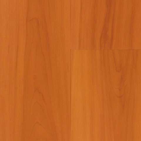 CHERRY 
TSV2A-L43100-SA