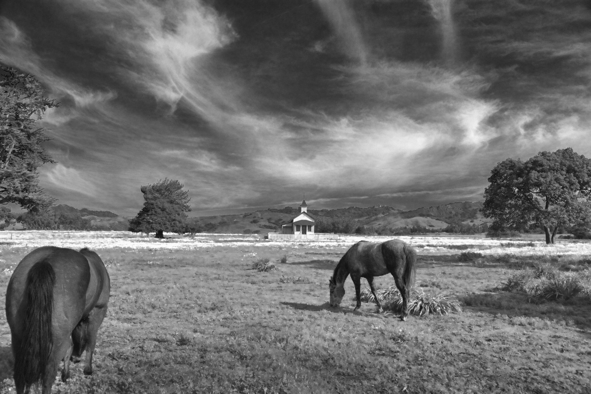 San Simeon Pasture