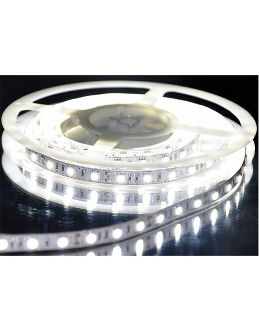 TIRA DE LED 5050
BLANCO 5M