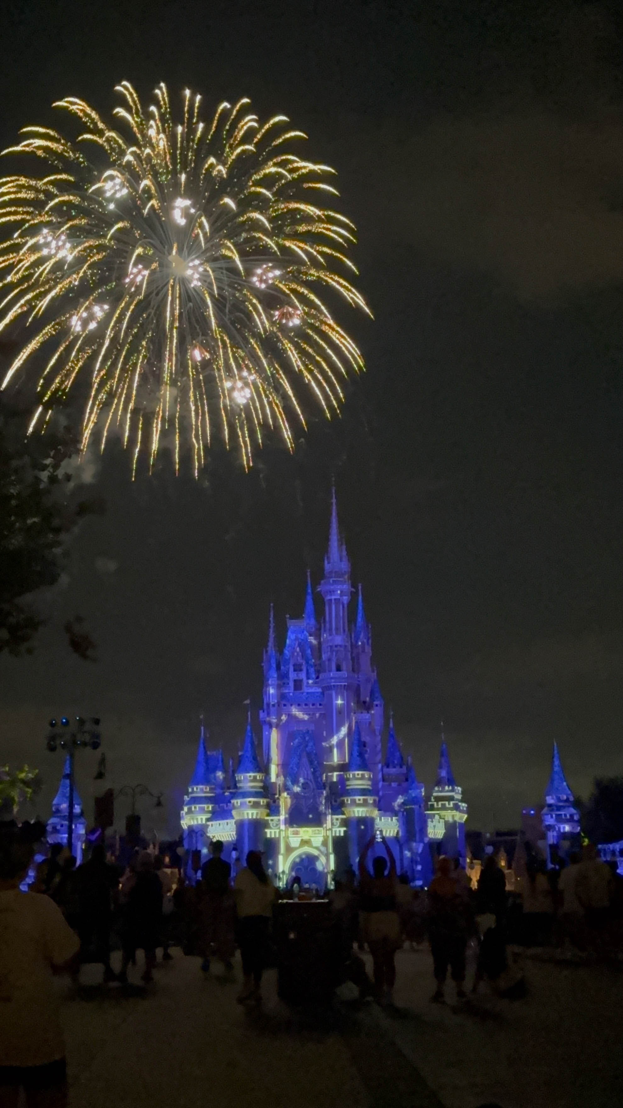 https://0201.nccdn.net/1_2/000/000/137/1da/orlando-order-86.jpg