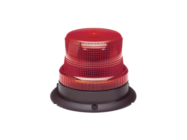 Seguridad Pública y Privada