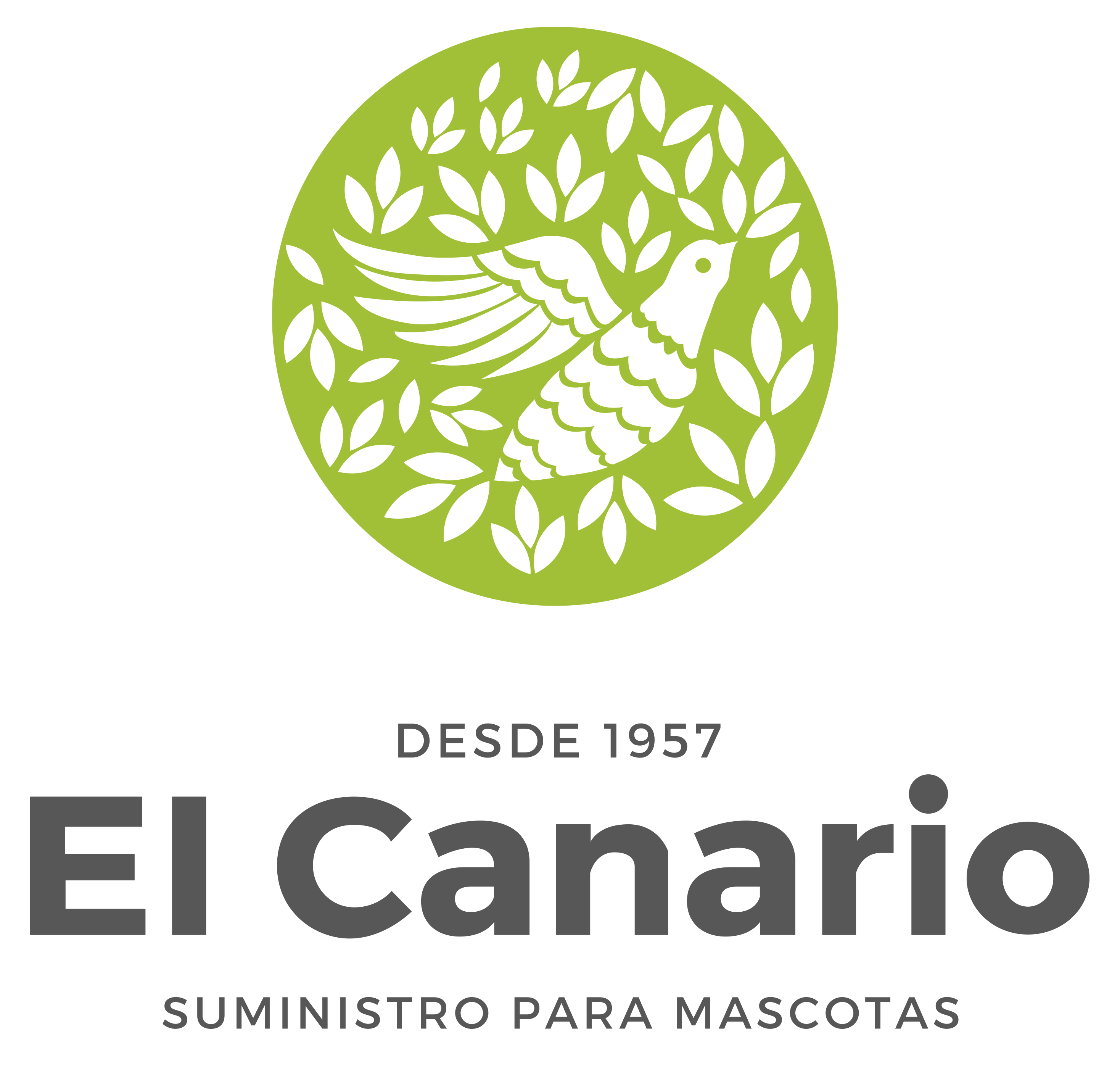 www.elcanario.com.mx
